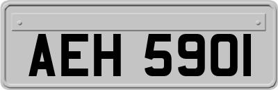 AEH5901