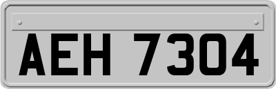 AEH7304