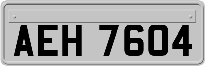 AEH7604