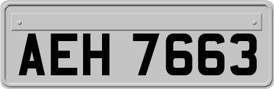 AEH7663