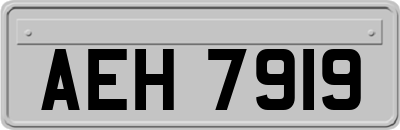 AEH7919