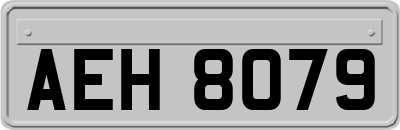 AEH8079