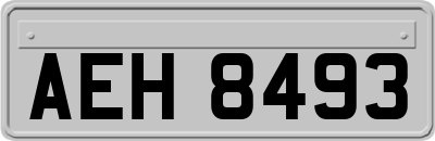 AEH8493