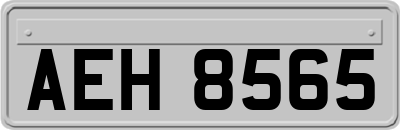 AEH8565
