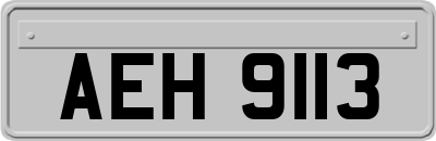 AEH9113