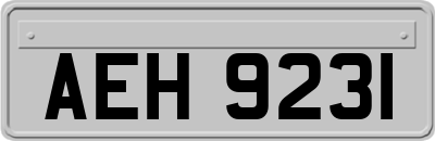 AEH9231