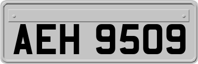 AEH9509