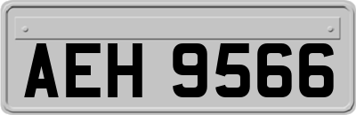 AEH9566