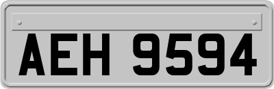 AEH9594