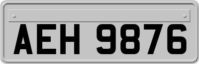 AEH9876