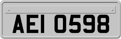 AEI0598