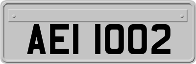 AEI1002