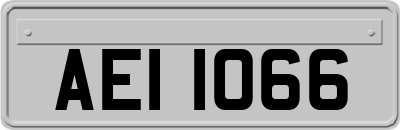 AEI1066