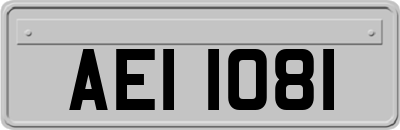 AEI1081