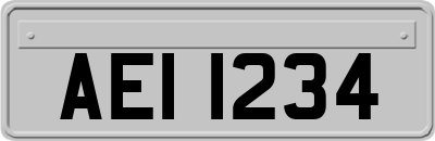 AEI1234