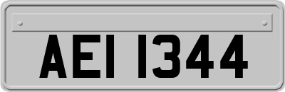 AEI1344