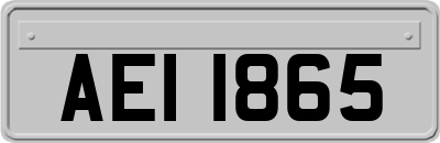 AEI1865