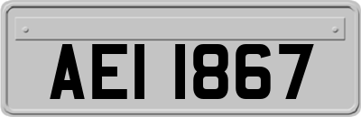 AEI1867