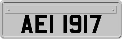 AEI1917