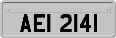AEI2141
