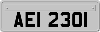 AEI2301