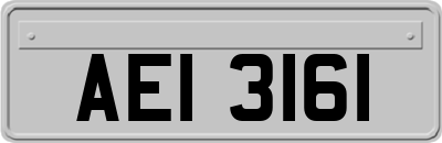 AEI3161