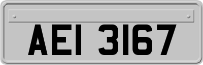 AEI3167