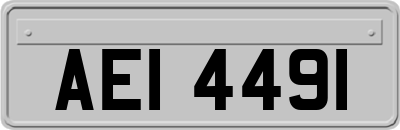 AEI4491