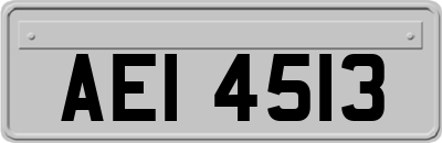 AEI4513