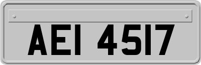 AEI4517