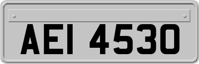 AEI4530