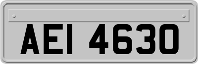 AEI4630