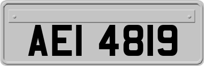AEI4819