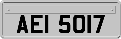 AEI5017