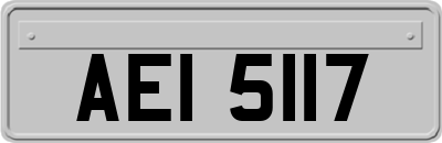 AEI5117