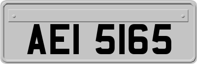 AEI5165