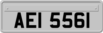 AEI5561