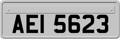 AEI5623