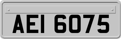AEI6075