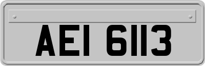 AEI6113