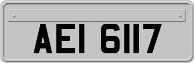 AEI6117