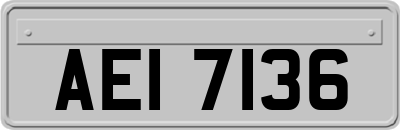 AEI7136