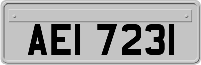 AEI7231