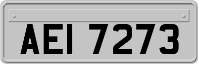 AEI7273