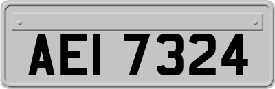 AEI7324
