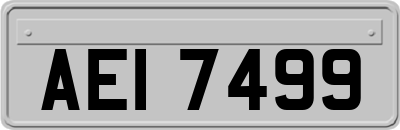 AEI7499
