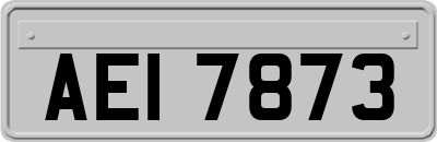 AEI7873
