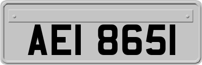 AEI8651