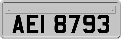AEI8793