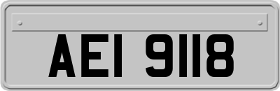 AEI9118